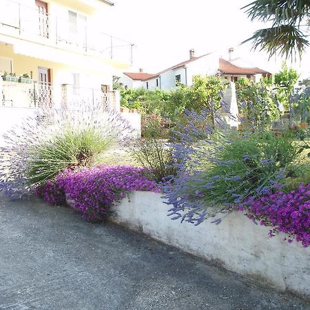 Guest House Jasmin Rovinj Zewnętrze zdjęcie