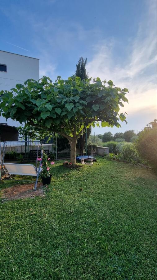 Guest House Jasmin Rovinj Zewnętrze zdjęcie