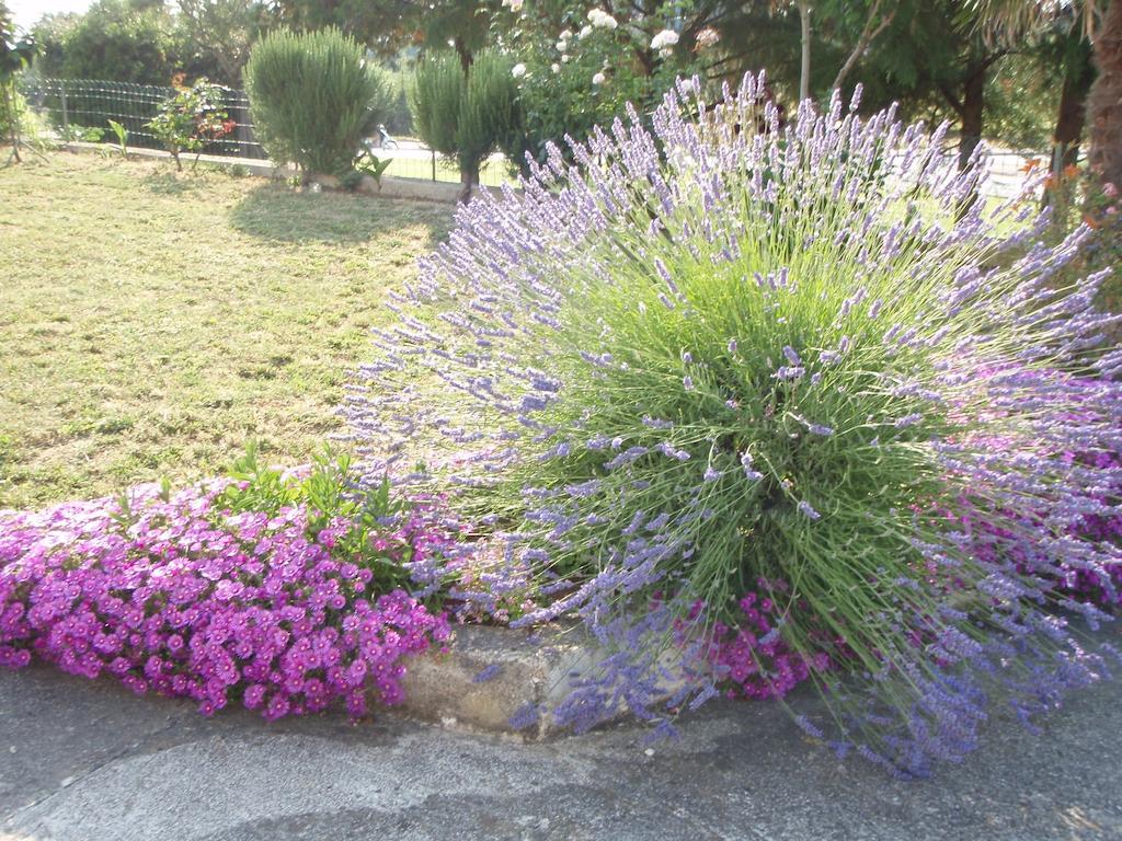 Guest House Jasmin Rovinj Zewnętrze zdjęcie
